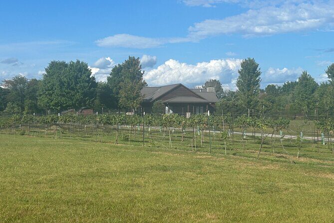 Arrington Wine and Franklin Dine Private Tour from Nashville - Franklin for shopping and an early dinner (plus the Nashville time block)
