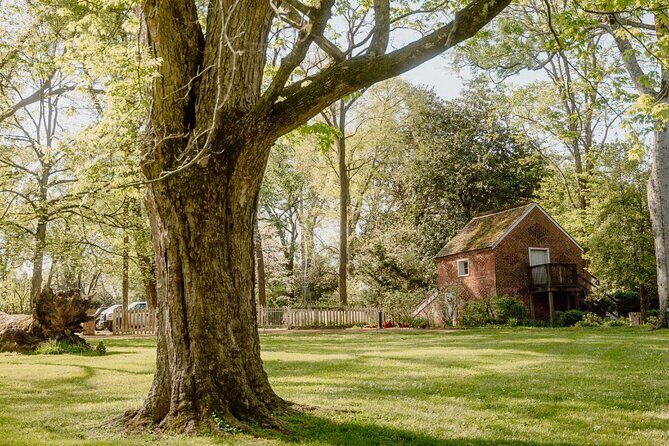 Belle Meade Guided Mansion Tour with Complimentary Wine Tasting - Why Belle Meade Feels Like Two Experiences in One