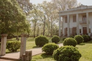 Belle Meade Guided Mansion Tour with Complimentary Wine Tasting - Checking In at the Visitors Center and Timing Your Visit