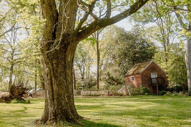 Belle Meade Guided Mansion Tour with Complimentary Wine Tasting - Complimentary Wine Tasting at Belle Meade Winery (21+): A Practical Wine-Lovers Stop