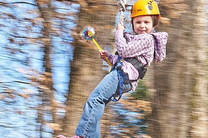 Fontanel Zipline Forest Adventure at Nashville North - Who Should Book This Zipline at Fontanel?