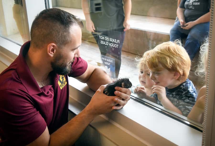 Nashville Zoo: Any-Day Admission Ticket - Any-Day Admission at Nashville Zoo: Real Flexibility
