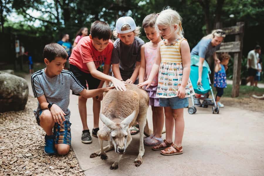 Nashville Zoo: Any-Day Admission Ticket - Big Exhibits to Prioritize: Expedition Peru, Tiger Crossroads, Bamboo Trail