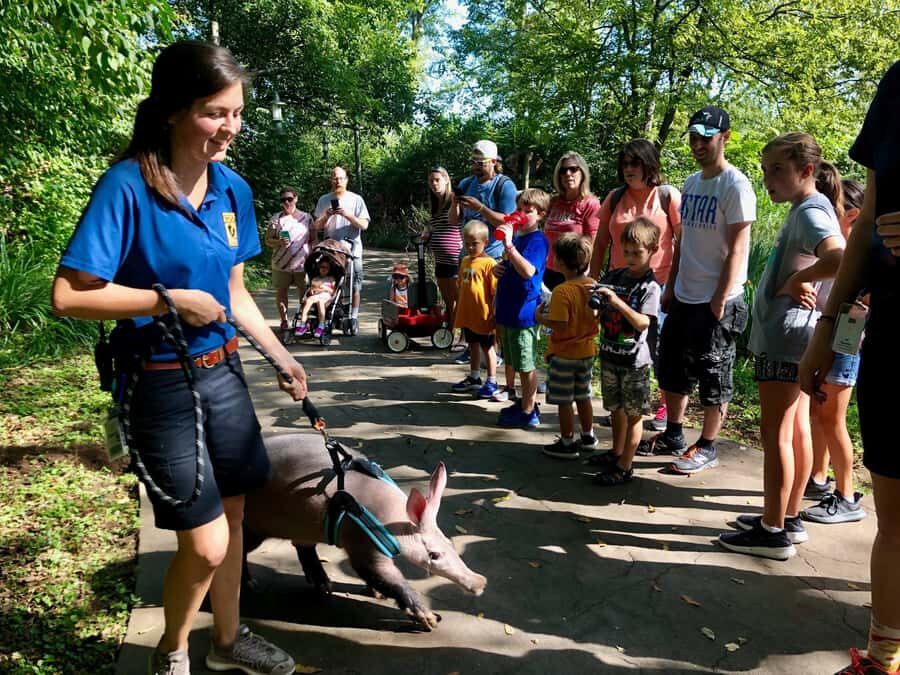 Nashville Zoo: Any-Day Admission Ticket - Kangaroo Kickabout and the Fun Factor Built Into Admission
