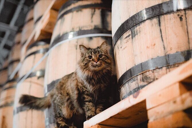 Nelson's Green Brier Distillery Guided Tour with Tastings - Pairing it with a meal or a cocktail in the same area