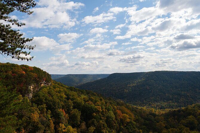 Tennessee Fall Colors Hiking Tour - Price and what you really get for $159